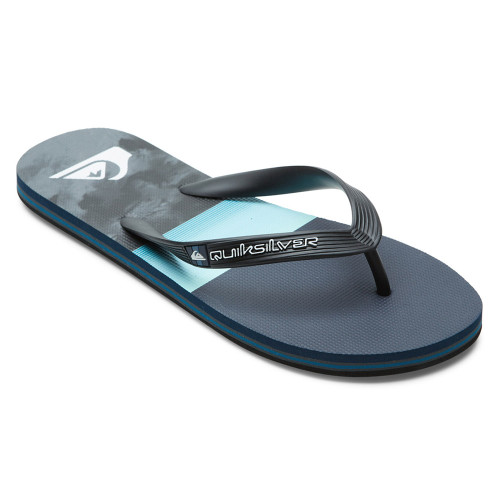 Quiksilver Molokai Panel - Flip-Flops for Men